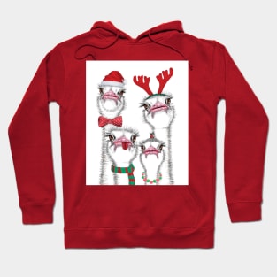 Christmas ostrich family Hoodie